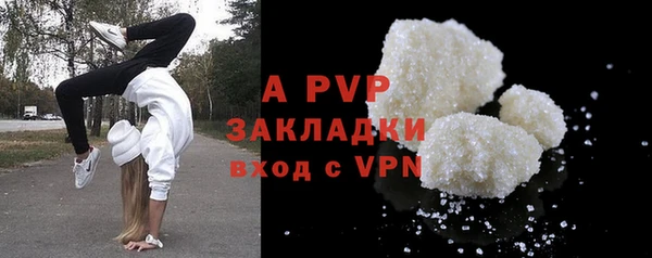 прущие грибы Волосово