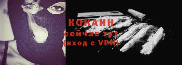 прущие грибы Волосово