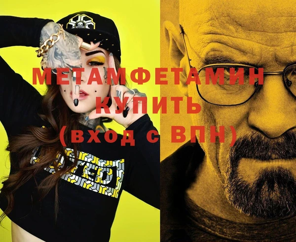 прущие грибы Волосово