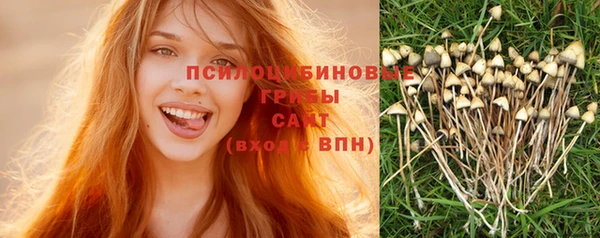 прущие грибы Волосово