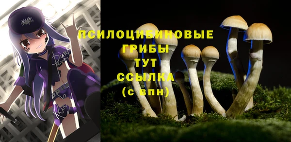 прущие грибы Волосово