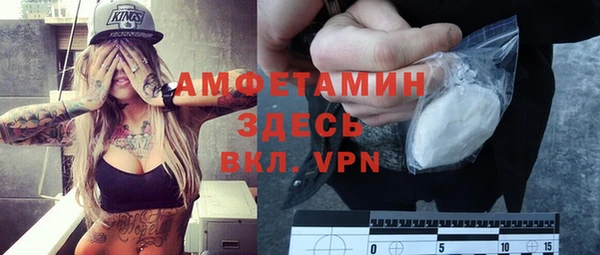 прущие грибы Волосово